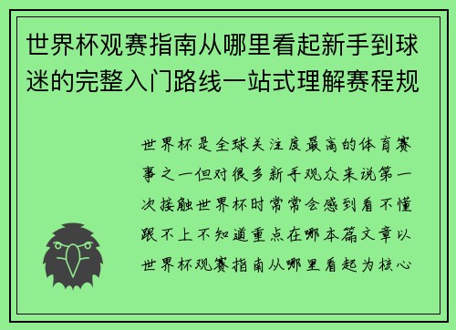 世界杯观赛指南从哪里看起新手到球迷的完整入门路线一站式理解赛程规则看点